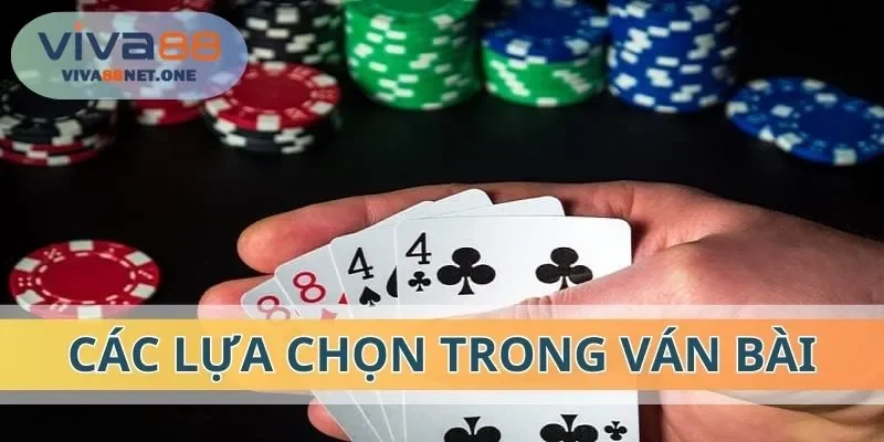 Người chơi có nhiều sự lựa chọn khi chơi bài