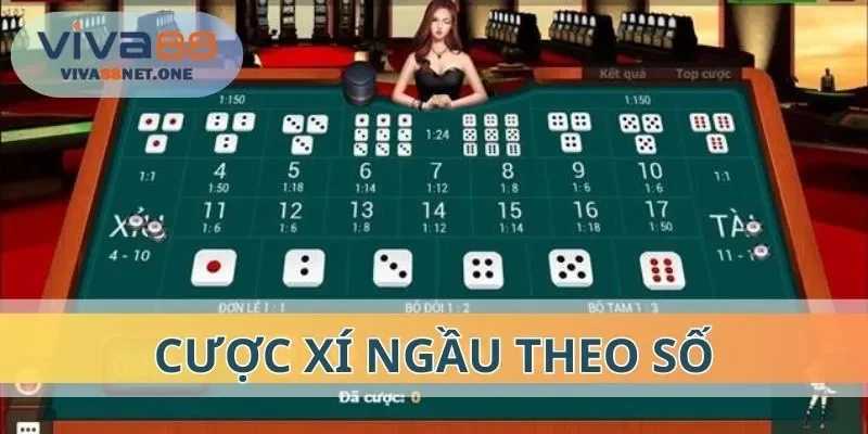 Người chơi có thể đặt cược xí ngầu theo số