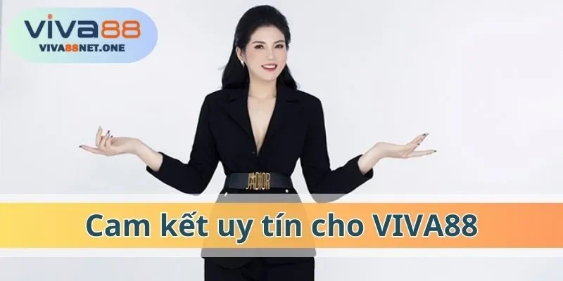 Cam kết uy tín cho VIVA88