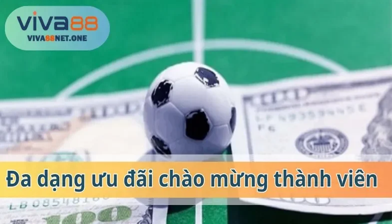 Các sự kiện ưu đãi cho tân thủ khi tham gia sảnh