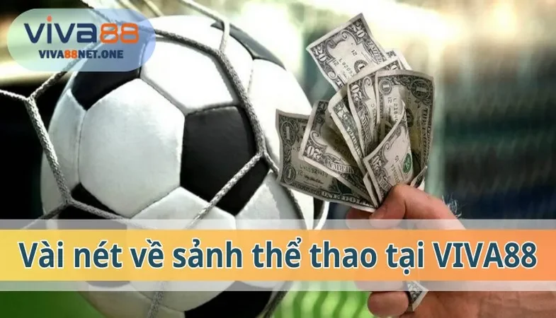 Vài nét về sảnh thể thao VIVA88