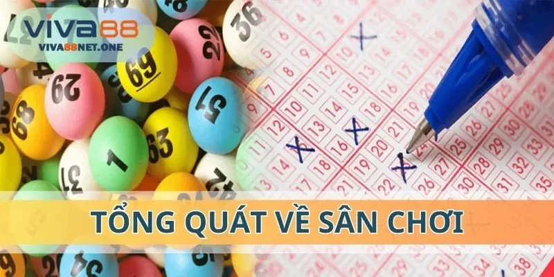Tổng quát về sân chơi